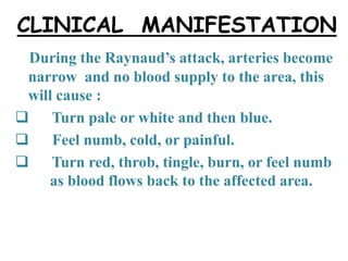CLINICAL MANIFESTATION
During the Raynaud’s attack, arteries become
narrow and no blood supply to the area, this
will cause :
 Turn pale or white and then blue.
 Feel numb, cold, or painful.
 Turn red, throb, tingle, burn, or feel numb
as blood flows back to the affected area.
 