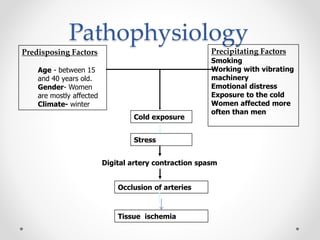 Pathophysiology
Precipitating Factors
Smoking
Working with vibrating
machinery
Emotional distress
Exposure to the cold
Women affected more
often than men
Stress
Digital artery contraction spasm
Occlusion of arteries
Predisposing Factors
Age - between 15
and 40 years old.
Gender- Women
are mostly affected
Climate- winter
Cold exposure
Tissue ischemia
 