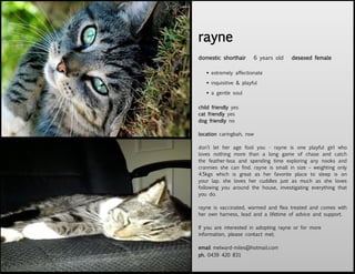 rayne
domestic shorthair        6 years old   desexed female

    extremely affectionate

    inquisitive & playful

    a gentle soul

child friendly yes
cat friendly yes
dog friendly no

location caringbah, nsw

don’t let her age fool you - rayne is one playful girl who
loves nothing more than a long game of chase and catch
the feather-boa and spending time exploring any nooks and
crannies she can find. rayne is small in size – weighting only
4.5kgs which is great as her favorite place to sleep is on
your lap. she loves her cuddles just as much as she loves
following you around the house, investigating everything that
you do.

rayne is vaccinated, wormed and flea treated and comes with
her own harness, lead and a lifetime of advice and support.

If you are interested in adopting rayne or for more
information, please contact mel;

email melward-miles@hotmail.com
ph. 0439 420 831
 