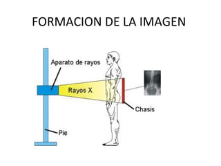 FORMACION DE LA IMAGEN
 