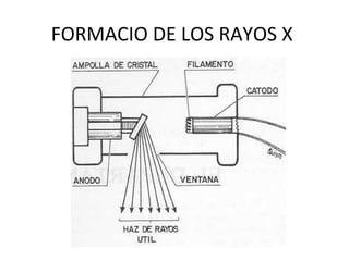 FORMACIO DE LOS RAYOS X
 