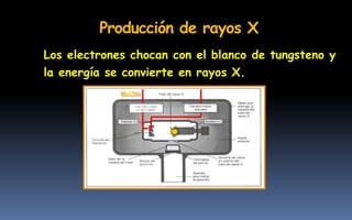 Los electrones chocan con el blanco de tungsteno y
la energía se convierte en rayos X.
Producción de rayos X
 