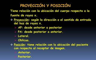Tiene relación con la ubicación del cuerpo respecto a la
fuente de rayos x.
 Proyección: según la dirección o el sentido de entrada
del haz de rayos x.
 AP: desde anterior a posterior
 PA: desde posterior a anterior.
 Lateral.
 Oblicua.
 Posición: tiene relación con la ubicación del paciente
con respecto al receptor de imagen.
 Anterior.
 Posterior.
PROYECCIÓN Y POSICIÓN
 