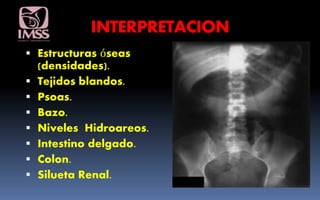 INTERPRETACION
 Estructuras óseas
(densidades).
 Tejidos blandos.
 Psoas.
 Bazo.
 Niveles Hidroareos.
 Intestino delgado.
 Colon.
 Silueta Renal.
 