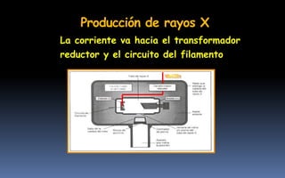 Producción de rayos X
La corriente va hacia el transformador
reductor y el circuito del filamento
 