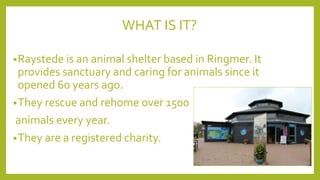 WHAT IS IT?
•Raystede is an animal shelter based in Ringmer. It
provides sanctuary and caring for animals since it
opened 60 years ago.
•They rescue and rehome over 1500
animals every year.
•They are a registered charity.
 