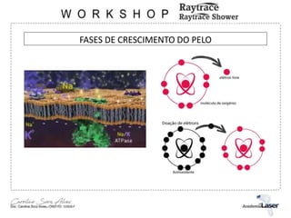 FASES DE CRESCIMENTO DO PELO
 