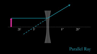 F F’2F 2F’
Parallel Ray
 