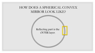 HOW DOES A SPHERICAL CONVEX
MIRROR LOOK LIKE?
Reflecting part is the
OUTER layer.
 