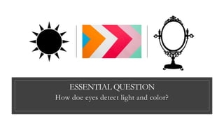 ESSENTIAL QUESTION
How doe eyes detect light and color?
 