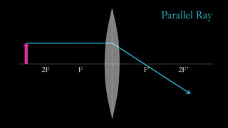 F F’2F 2F’
Parallel Ray
 