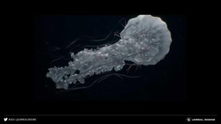 #UE4 | @UNREALENGINE
 