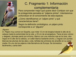 C. Fragmento 1: Información
complementaria
Para comprender mejor qué quiere decir Cortázar con que
la protagonista pensaba en “pájaros pintos”, intentaremos
profundizar en el conocimiento de esta especie.
¿Cómo identificamos un “pájaro pinto” y qué
características tiene?
Según la definición ornitológica, un pájaro pinto
corresponde a un “jilguero”
Jilguero
m. Pájaro muy común en España, que mide 12 cm de longitud desde lo alto de la
cabeza hasta la extremidad de la cola, y 23 cm de envergadura. Tiene el pico cónico
y delgado, plumaje pardo por el lomo, blanco con una mancha roja en la cara, otra
negra en lo alto de la cabeza, un collar blanco bastante ancho, y negras con puntas
blancas las plumas de las alas y cola, teñidas las primeras de amarillo en su parte
media. Es uno de los pájaros más llamativos de Europa. Se domestica
fácilmente y canta bien
 