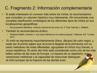 C. Fragmento 2: Información complementaria
• Si estás interesado en conocer más sobre los mirlos, te recomendamos
que consultes un volumen histórico muy interesante. Ahí encontrarás una
completa clasificación ornitológica de los diferentes tipos de mirlos en sus
localizaciones geográficas:
– Encyclopedia Metódica. Historia natural de las aves vol. 2 Trad. francés J. Mallent.
• También te recomendamos el libro:
– Pestana Salido, Antonio J. Las aves ibéricas en la cultura popular. Valencia: Ed. Tundra,
2011.
• El mirlo se representa mayoritariamente (fotos, dibujos) de color negro, y
suele ser el primer pájaro que anuncia la llegada de la primavera con su
canto melodioso de notas aflautadas, agrupadas en trinos muy breves, a
veces repetitivos. El canto del mirlo está considerado como uno de los más
bellos cantos de las aves de Europa. La riqueza de su repertorio, sus
variaciones melódicas y la capacidad de improvisar distinguen
al mirlo europeo de la mayoría de las demás aves.
 