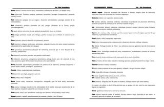 3er. Año Secundaria RAZONAMIENTO VERBAL 3er. Año Secundaria
Osteo (hueso): osteolito (hueso fósil), osteomielitis (inflamación del hueso y la médula ósea).
Para (dirección): Parábola, paradoja, parabrisas, paramilitar, parangón (comparación), paraninfo
(salón de actos).
Pato (dolencia): patógeno (lo que origina y desarrolla enfermedades), patología (estudio de las
enfermedades).
Peri (alrededor): perihelio (alrededor del sol), perigeo (alrededor de la Tierra), periplo
(circunnavegación).
Pio (pus): piorrea (secreción de pus), piotorax (acumulación de pus en el tórax).
Piro (fuego): pirómano (manía por el fuego), piróforo (cuerpo que se inflama al contacto con el
aire).
Pleur (pulmón): pleura (cubierta de los pulmones), pleuritis.
Poli (muchos): polígono, polícromo, polivalente, polígrafo (escritor de varios temas), polisemia
(pluralidad de los significados de la lengua).
Post (posterior): postmeridiano (después del mediodía), postre (lo que se sirve después de las
comidas), postdiluviano.
Pre (anterior): preclásico, preceder, precipitado (citado antes).
Pro (delante): pronóstico, prolegómeno (preámbulo), prólogo (texto antes del contenido de una
obra), proscenio (parte del escenario más próximo a los espectadores).
Proto (Prioridad, superioridad): protomártir (el primero de los mártires), prototipo (originario o
primer molde; modelo, paradigma), protohistoria.
Pseudo (falso): seudoclasicismo, seudónimo.
Psico (mente): psicología, psiquiatra, psicosis.
Reno (riñón): renal, renografía.
Retro (volver atrás): retroactivo, retrospectivo, retrógrado, (que va hacia atrás), retrovender,
retroceder.
Rino (nariz): rinología (estudio de las enfermedades de la nariz), rinoscopía (exploración de las
fosas nasales), rinoplastía (operación para restaurar la nariz).
Semi (medio, mitad, casi): semidifunto, semicarpo (ser fabuloso, mitad hombre y mitad cabra).
Sesqui (unidad y media): sesquicentenario (un centenar y medio, o sea 150 años).
Sepsis, sepsia (reacción provocada por bacterias o toxinas); asepsia (libre de infección),
septicemia (infección bacteriana en el torrente sanguíneo).
Siniestro (relativo a la izquierda): siniestrocardia.
Sin (unión): sinfonía, sinestesia, sindicato, sincretismo (conciliación de posiciones diferentes),
síndrome (conjunto de síntomas que se presenta al mismo tiempo).
Sub (Inferioridad, debajo): subalterno, subterfugio (evasiva, escape), subscrito (abajo firmado),
subsidiario (accesorio), subtítulo, submarino.
Super (sobre, encima, arriba, exceso): superávit, suponer (poner encima de algo), superstite (lo que
sobrevive), supernumerario (excedente).
Taqui (rápido, veloz): taquigrafía, taquicardia.
Tele (lejos): telecomunicación (comunicación a distancia), televisión, teléfono, telepatía.
Teo (Dios): Teología (estudio de Dios y sus atributos), teocracia (gobierno ejercido directamente
por Dios).
Termo (calor): Termología (tratado del calor), termoeléctrico, termodinámica (estudio de la fuerza
mecánica del calor).
Tetra (cuatro): tetrarca (soberano de la cuarta parte de un reino), tetrasílaba.
Trans (al través, del otro lado): transferir, tránsfuga (persona que pasa huyendo de un lugar a otro).
Traumat (herida o lesión): traumático.
Tri (tres): tríada (conjunto de tres cosas iguales), triángulo , tríceps, tricornio, trilogía.
Ultra (más allá): ultramar, ultratumba, ultrasolar.
Uni (uno): unigénito (hijo único), unicornio, univalvo.
Urb (ciudad): urbano, urbe, urbanización.
Xilo (madera): Xilografía (arte de grabar en madera), xilófago (insecto que come madera).
En cuanto a los sufijos, es decir de las partículas que se agregan a la raíz, entre los mas importantes
figuran los siguientes:
Cracia (gobierno): democracia, autocracia, teocracia.
Cidio (matar): homicida (matar al hombre), filicidio (matar al hijo), fratricida (el que mata a su
hermano), genocida (el asesino de su pueblo).
 