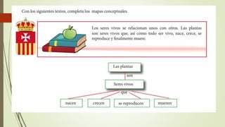 Razonamiento verbal, organizadores  gráficos