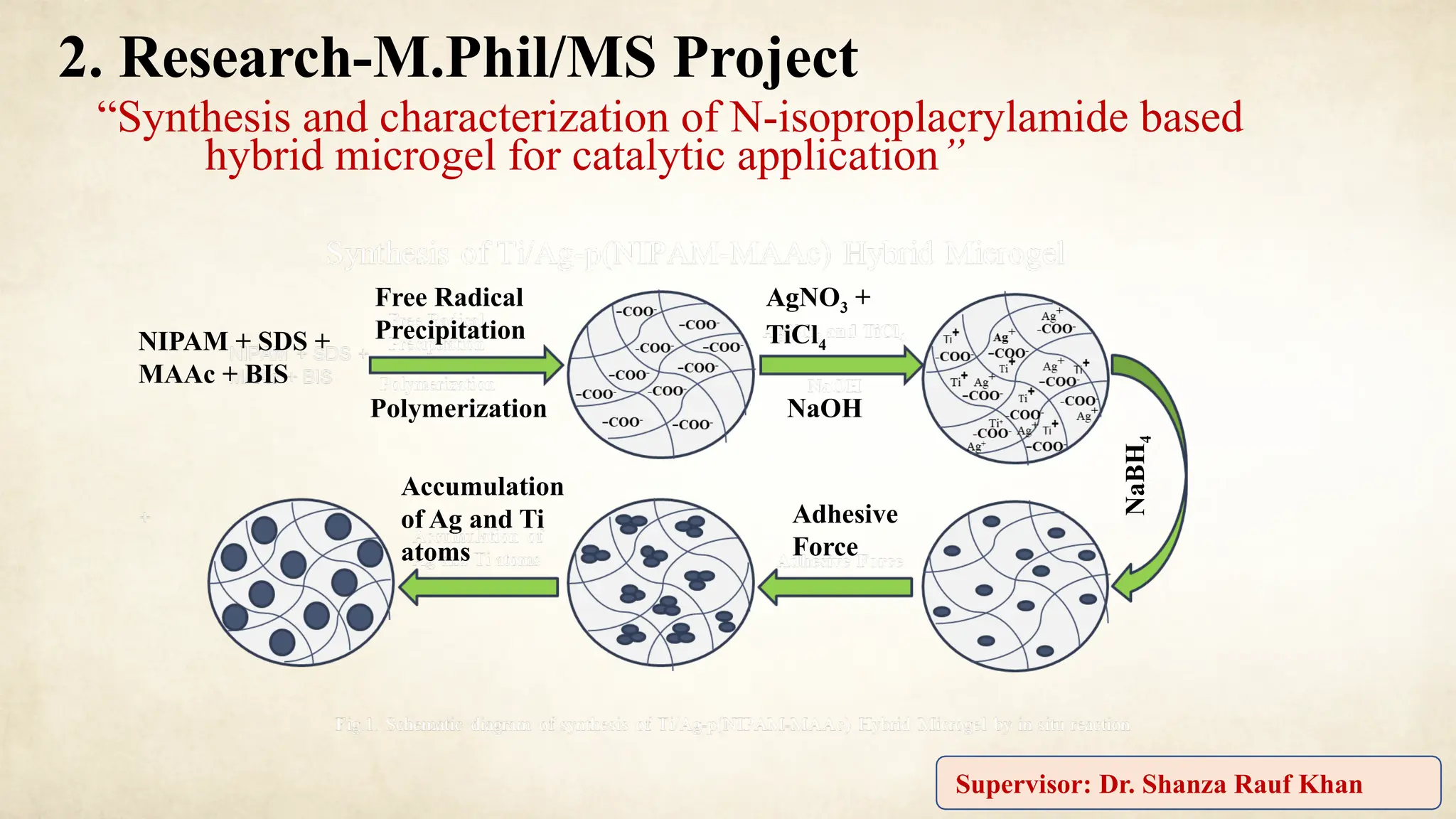 Supervisor: Dr. Shanza Rauf Khan
2. Research-M.Phil/MS Project
“Synthesis and characterization of N-isoproplacrylamide based
hybrid microgel for catalytic application”
NIPAM + SDS +
MAAc + BIS
Free Radical
Precipitation
Polymerization
AgNO3 +
TiCl4
NaOH
NaBH
4
Adhesive
Force
Accumulation
of Ag and Ti
atoms
 
