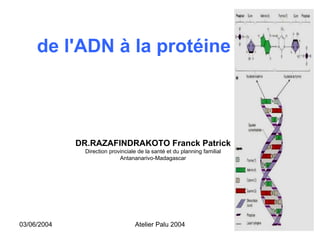 de l'ADN à la protéine



             DR.RAZAFINDRAKOTO Franck Patrick
               Direction provinciale de la santé et du planning familial
                             Antananarivo-Madagascar




03/06/2004                         Atelier Palu 2004                       1
 