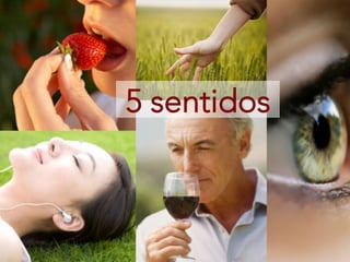 5 sentidos
 
