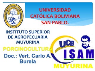 INSTITUTO SUPERIOR
DE AGROPECUARIA
MUYURINA
PORCINOCULTURA
Doc.: Vert. Carlo A.
Burela
UNIVERSIDAD
CATÓLICA BOLIVIANA
SAN PABLO.
 