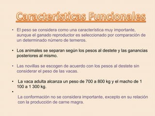 • El peso se considera como una característica muy importante,
aunque el ganado reproductor es seleccionado por comparación de
un determinado número de terneros.
• Los animales se separan según los pesos al destete y las ganancias
posteriores al mismo.
• Las novillas se escogen de acuerdo con los pesos al destete sin
considerar el peso de las vacas.
• La vaca adulta alcanza un peso de 700 a 800 kg y el macho de 1
100 a 1 300 kg.
•
La conformación no se considera importante, excepto en su relación
con la producción de carne magra.
 