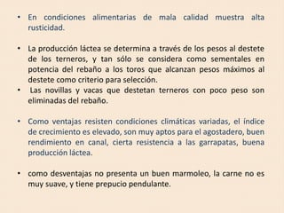 • En condiciones alimentarias de mala calidad muestra alta
rusticidad.
• La producción láctea se determina a través de los pesos al destete
de los terneros, y tan sólo se considera como sementales en
potencia del rebaño a los toros que alcanzan pesos máximos al
destete como criterio para selección.
• Las novillas y vacas que destetan terneros con poco peso son
eliminadas del rebaño.
• Como ventajas resisten condiciones climáticas variadas, el índice
de crecimiento es elevado, son muy aptos para el agostadero, buen
rendimiento en canal, cierta resistencia a las garrapatas, buena
producción láctea.
• como desventajas no presenta un buen marmoleo, la carne no es
muy suave, y tiene prepucio pendulante.
 