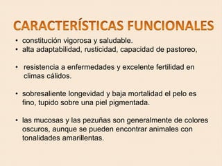 • constitución vigorosa y saludable.
• alta adaptabilidad, rusticidad, capacidad de pastoreo,
• resistencia a enfermedades y excelente fertilidad en
climas cálidos.
• sobresaliente longevidad y baja mortalidad el pelo es
fino, tupido sobre una piel pigmentada.
• las mucosas y las pezuñas son generalmente de colores
oscuros, aunque se pueden encontrar animales con
tonalidades amarillentas.
 