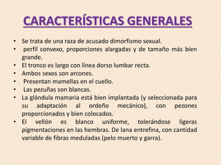 CARACTERÍSTICAS GENERALES
• Se trata de una raza de acusado dimorfismo sexual.
• perfil convexo, proporciones alargadas y de tamaño más bien
grande.
• El tronco es largo con línea dorso lumbar recta.
• Ambos sexos son arcones.
• Presentan mamellas en el cuello.
• Las pezuñas son blancas.
• La glándula mamaria está bien implantada (y seleccionada para
su adaptación al ordeño mecánico), con pezones
proporcionados y bien colocados.
• El vellón es blanco uniforme, tolerándose ligeras
pigmentaciones en las hembras. De lana entrefina, con cantidad
variable de fibras meduladas (pelo muerto y garra).
 