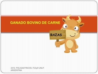 GANADO BOVINO DE CARNE
RAZAS
2010. POLIGASTRICOS. FCAyF.UNLP.
ARGENTINA
 
