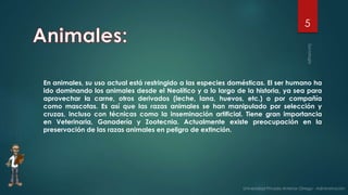 5
En animales, su uso actual está restringido a las especies domésticas. El ser humano ha
ido dominando los animales desde el Neolítico y a lo largo de la historia, ya sea para
aprovechar la carne, otros derivados (leche, lana, huevos, etc.) o por compañía
como mascotas. Es así que las razas animales se han manipulado por selección y
cruzas, incluso con técnicas como la inseminación artificial. Tiene gran importancia
en Veterinaria, Ganadería y Zootecnia. Actualmente existe preocupación en la
preservación de las razas animales en peligro de extinción.
 