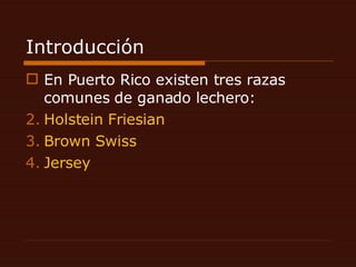 Introducción En Puerto Rico existen tres razas comunes de ganado lechero: Holstein Friesian Brown Swiss Jersey