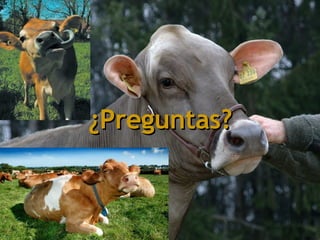 ¿Preguntas? 