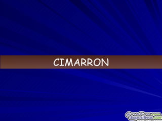 CIMARRON 