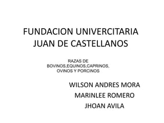 FUNDACION UNIVERCITARIA
JUAN DE CASTELLANOS
WILSON ANDRES MORA
MARINLEE ROMERO
JHOAN AVILA
RAZAS DE
BOVINOS,EQUINOS,CAPRINOS,
OVINOS Y PORCINOS
 