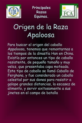 Principales
Razas
Equinas.
Origen de la Raza
Apaloosa
Para buscar el origen del caballo
Appaloosa, tenemos que remontarnos a
los tiempos de la dinastía Han en China.
Existía por entonces un tipo de caballo
resistente, de pequeño tamaño y muy
veloz, que presentaba capa moteada.
Este tipo de caballo se llamó Caballo de
Ferghana, y fue considerado un caballo
celestial por sus dones para resistir a
galope grandes distancias, la escasez de
alimento, y servir exitosamente a sus
jinetes en el campo de batalla
 