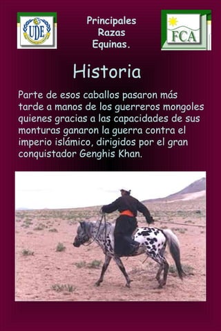 Principales
Razas
Equinas.
Historia
Parte de esos caballos pasaron más
tarde a manos de los guerreros mongoles
quienes gracias a las capacidades de sus
monturas ganaron la guerra contra el
imperio islámico, dirigidos por el gran
conquistador Genghis Khan.
 