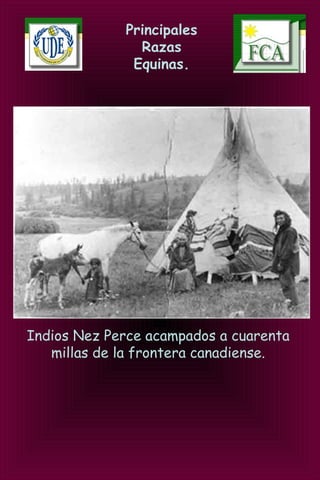 Principales
Razas
Equinas.
Indios Nez Perce acampados a cuarenta
millas de la frontera canadiense.
 