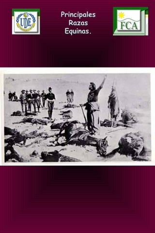 Principales
Razas
Equinas.
 
