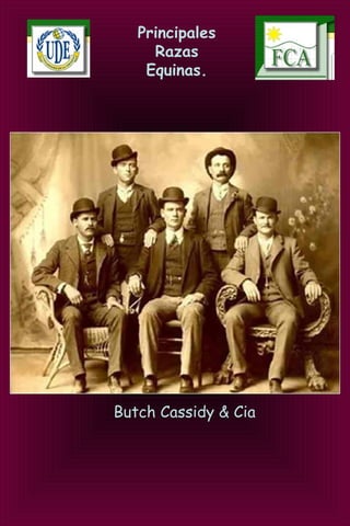 Principales
Razas
Equinas.
Butch Cassidy & Cia
 