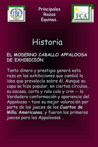 Principales
Razas
Equinas.
Historia
EL MODERNO CABALLO APPALOOSA
DE EXHIBICIÓN
Tanto dinero y prestigio generó esta
raza en las exhibiciones que cambió la
idea que prevalecía sobre él. Aunque su
capa se hizo popular, en ciertos círculos,
su escasa, corta y rala cola y crin -- la
Verdadera conformación y apariencia del
Appaloosa – tuvo su mejor valoración por
parte de los jueces de los Cuartos de
Milla Americanos, y fueron los primeros
jueces para los Appaloosas...
 