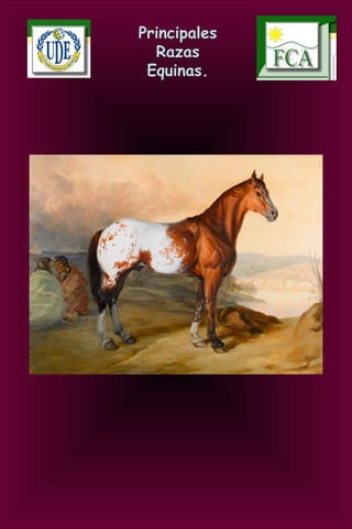 Principales
Razas
Equinas.
 