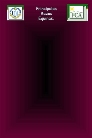Principales
Razas
Equinas.
 