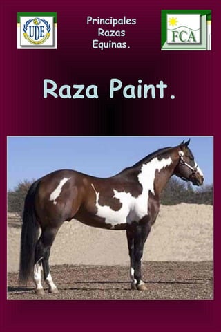 Principales
Razas
Equinas.
Raza Paint.
 