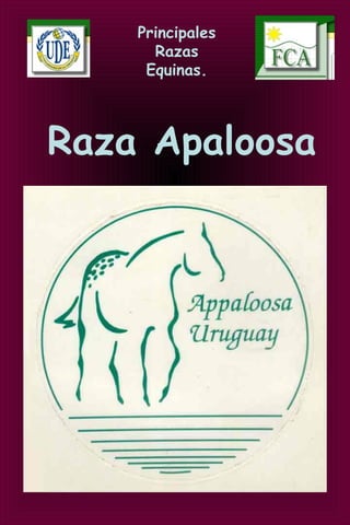 Principales
Razas
Equinas.
Raza Apaloosa
 