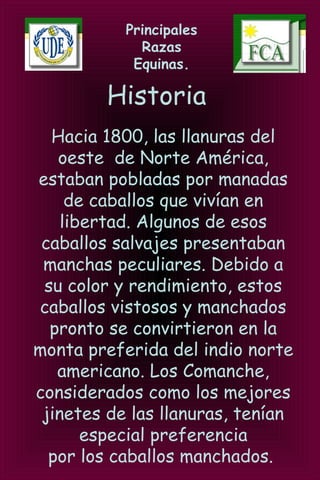 Principales
Razas
Equinas.
Historia
Hacia 1800, las llanuras del
oeste de Norte América,
estaban pobladas por manadas
de caballos que vivían en
libertad. Algunos de esos
caballos salvajes presentaban
manchas peculiares. Debido a
su color y rendimiento, estos
caballos vistosos y manchados
pronto se convirtieron en la
monta preferida del indio norte
americano. Los Comanche,
considerados como los mejores
jinetes de las llanuras, tenían
especial preferencia
por los caballos manchados.
 