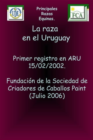 Principales
Razas
Equinas.
La raza
en el Uruguay
Primer registro en ARU
15/02/2002.
Fundación de la Sociedad de
Criadores de Caballos Paint
(Julio 2006)
 