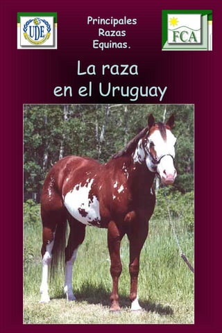 Principales
Razas
Equinas.
La raza
en el Uruguay
 
