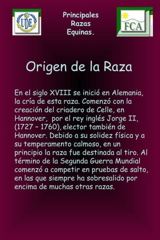 Principales
Razas
Equinas.
Origen de la Raza
En el siglo XVIII se inició en Alemania,
la cría de esta raza. Comenzó con la
creación del criadero de Celle, en
Hannover, por el rey inglés Jorge II,
(1727 – 1760), elector también de
Hannover. Debido a su solidez física y a
su temperamento calmoso, en un
principio la raza fue destinada al tiro. Al
término de la Segunda Guerra Mundial
comenzó a competir en pruebas de salto,
en las que siempre ha sobresalido por
encima de muchas otras razas.
 
