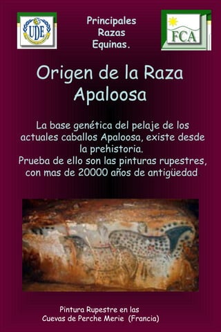 Principales
Razas
Equinas.
Origen de la Raza
Apaloosa
La base genética del pelaje de los
actuales caballos Apaloosa, existe desde
la prehistoria.
Prueba de ello son las pinturas rupestres,
con mas de 20000 años de antigüedad.
Pintura Rupestre en las
Cuevas de Perche Merie (Francia)
 