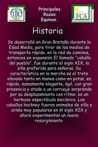 Principales
Razas
Equinas.
Historia
Se desarrolló en Gran Bretaña durante la
Edad Media, para tirar de los medios de
transporte rápido, en la red de caminos,
entonces en expansión El llamado “caballo
del pueblo”, fue durante el siglo XIX, la
silla preferida para señoras. Su
característica en la marcha es el trote
elevado tanto en manos como en patas, es
rápido, sumamente elegante, ágil, con gran
presencia y atado a un carruaje sorprende
por su desplazamiento con ritmo: es un
hermoso espectáculo mecánico. Los
caballos hackney fueron animales de silla y
arnés muy populares en él siglo XIX y
ahora experimentan un nuevo
resurgimiento
 